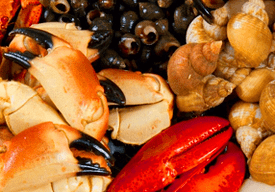 seafood to increase potential in men